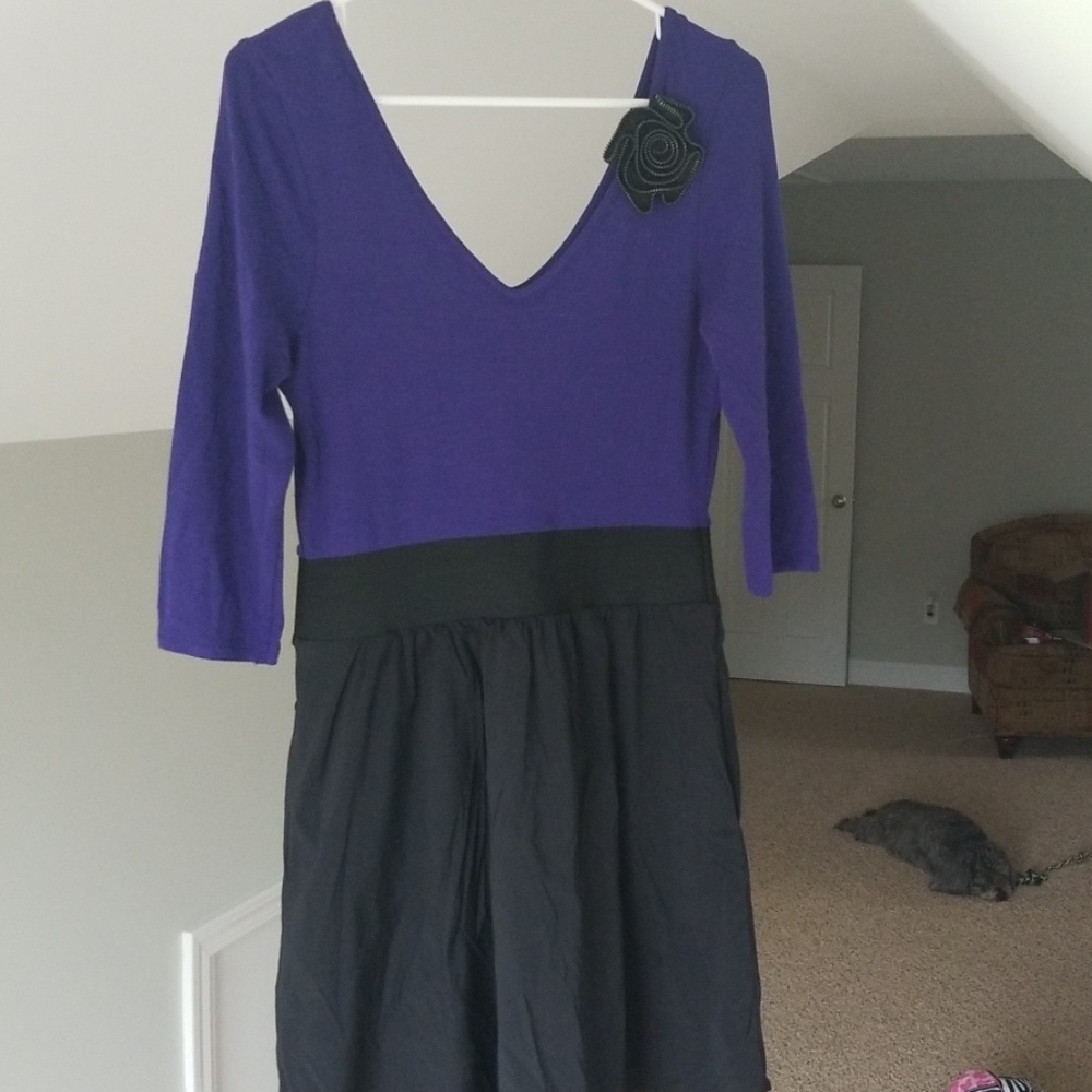 Express long sleeve empire waist dress.